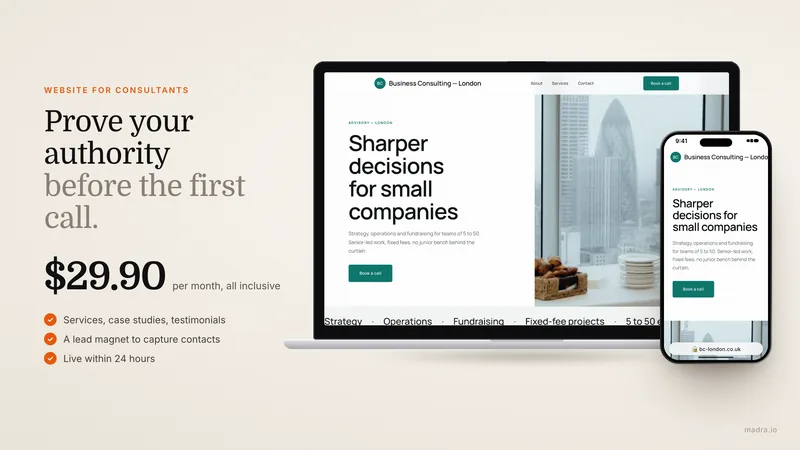 Website for consultants
